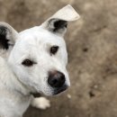 덕현목장 이미지