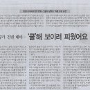 대마기획 이미지