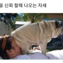 올가드림뷰티전주