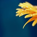 통돼지잡는집 이미지