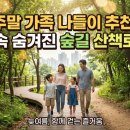 구덕산책로 숲길 | "주말에 가족과 함께 걷기 좋은 늦여름 도심 속 숲길 산책로 방문 후기"
