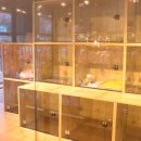 안양펫동물병원 이미지