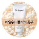 비비전