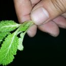 용운농장 이미지