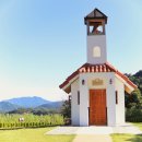 무궁화수목원 이미지