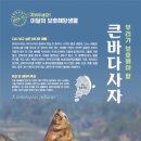 통큰바다 디지털타임스
