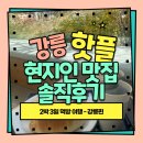 세븐일레븐 강릉가작로점 | [강릉] 2박3일 강릉 맛집 끝판왕 SNS 핫플 현지인만 아는 맛집 코스 내돈내산 솔직후기