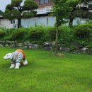 천천초등학교 이미지