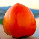 협성영농조합법인 이미지