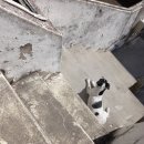 내사랑땡구 이미지