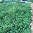 주빈농장 이미지