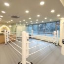 고트 복싱 이미지