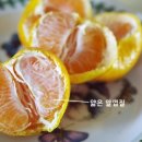 달콤하우스 이미지