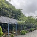 원더팜민박 | 충남 천안 대전 근교 가성비 계곡 평상 펜션 내돈내산 후기