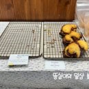 브레드옥