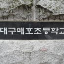 대구매호초등학교 이미지