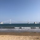 성춘상회 | [국내 탐방] 부산(Busan) 1박 2일 청-춘 여행(내일로 예매 팁)