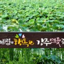 달러커피앤베이커리