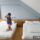 이엘관광농원 이미지