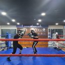 분당W복싱센터 | 분당 서현역 W복싱센터 복싱다이어트 분당복싱체육관 분당W복싱센터