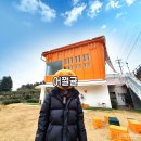 용일농장 | 제주 카페 카페더콘테나 귤따기체험 귤농장