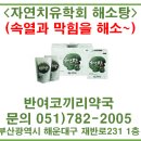재송약국 네이버블로그