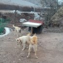 을해농장 이미지