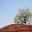 서호공원 이미지