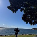 설매농장 | [7월의호주시드니/4박6일일정]3.포트스테판 머레이와이너리/모래썰매/돌핀크루즈