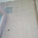 도램마을11단지앞 이미지