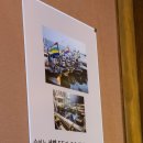 철길숲(학산동) | 포항 효자동 맛집 순이 라멘 덮밥 튀김 내돈내산 후기