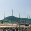 목포야구장 이미지