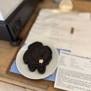더니커피 | 연희동 카페 더니 커피 로스터리 커피 맛집 귀여운 강아지와 함께 내돈내산 후기