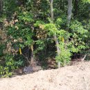 강구체육관 이미지