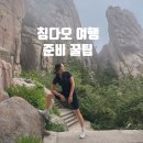유심당 | 칭다오 여행 시작! 1300원으로 공항에서 시내, 필수 어플, 유심 산동항공 후기 준비 꿀팁