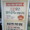 한밭종합카 | 대전 당일치기 한화생명이글스파크 3루 317구역 시야 및 먹거리