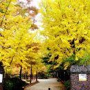 옥빛공원 이미지