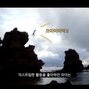 강릉관광여행사 이미지