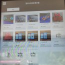 [강원 삼척] 강원도 당일치기 여행｜스노쿨링 투명카누 명소 장호항 (주차, 샤워 등)