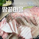 노량진 언니들 | 노량진수산시장 횟집 땅끝마을 포장 노량진초장집 후기