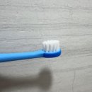 동일자연어린이집 이미지