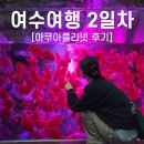 개이크 케이크 | 여수여행 2박3일 일정_2일차 아쿠아플라넷 후기, 입장료 할인