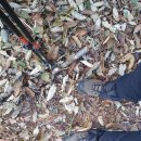 모악캠프 이미지