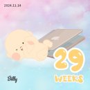 (Week 29, 30) 임신 29주, 30주_초음파앨범 정리, 부가부 지라프 구매, 당근거래(뉴코코맘, 스토케...