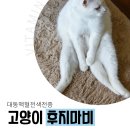 비타민동물메디컬센터 이미지