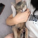 운정로 이미지
