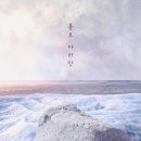 홀로 이미지