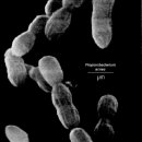 해솔한의원 이미지