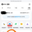 네이버페이 랜덤포인트 받기 이미지