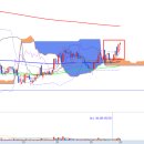 나노캠텍 이미지